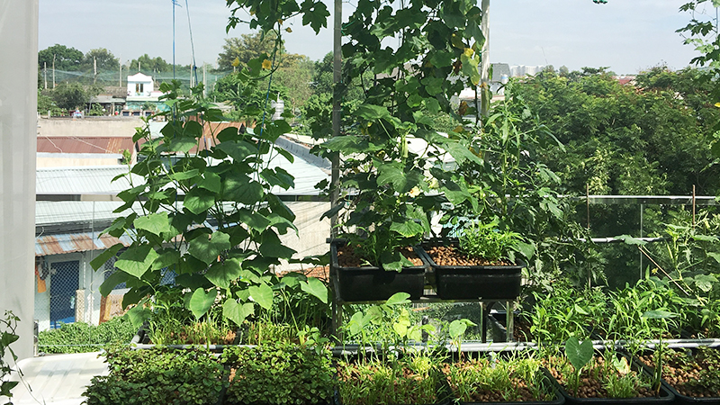 mau-san-thuong-voi-cay-xanh mau-san-thuong-voi-cay-xanh